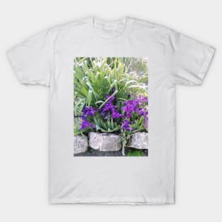 Dwarf Iris T-Shirt